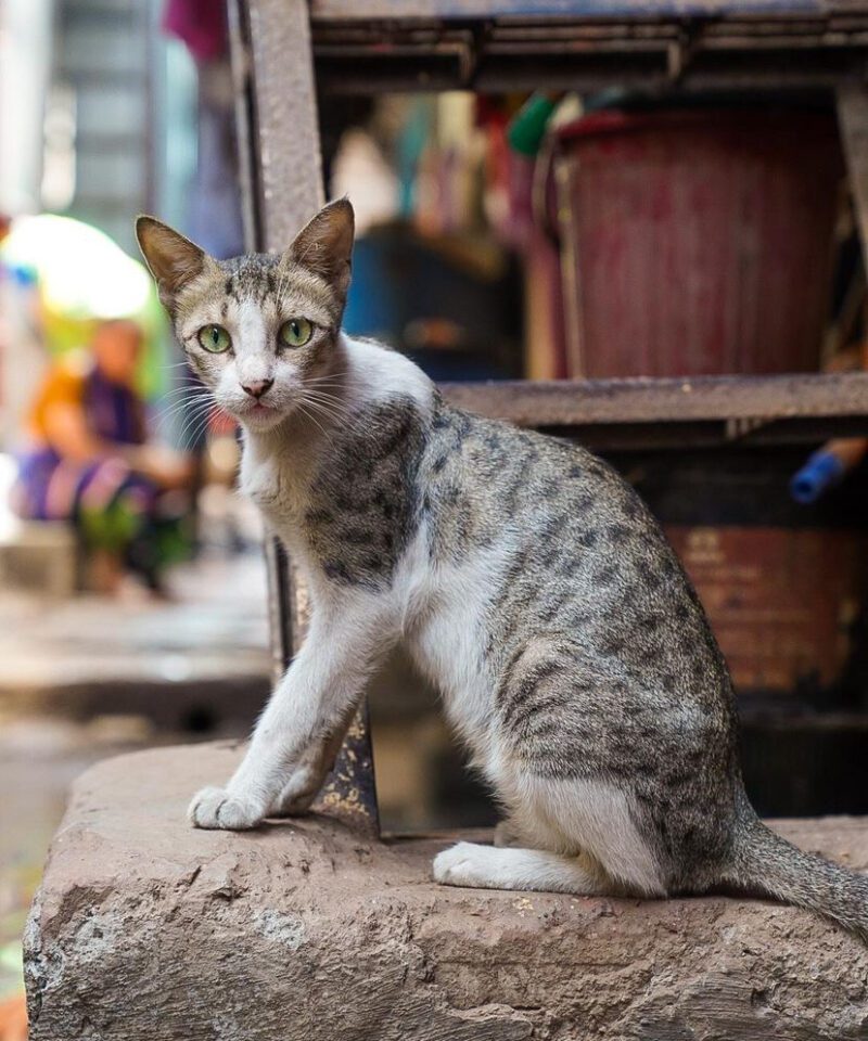 dharavi-slum-tour-by-magical-mumbai-tours